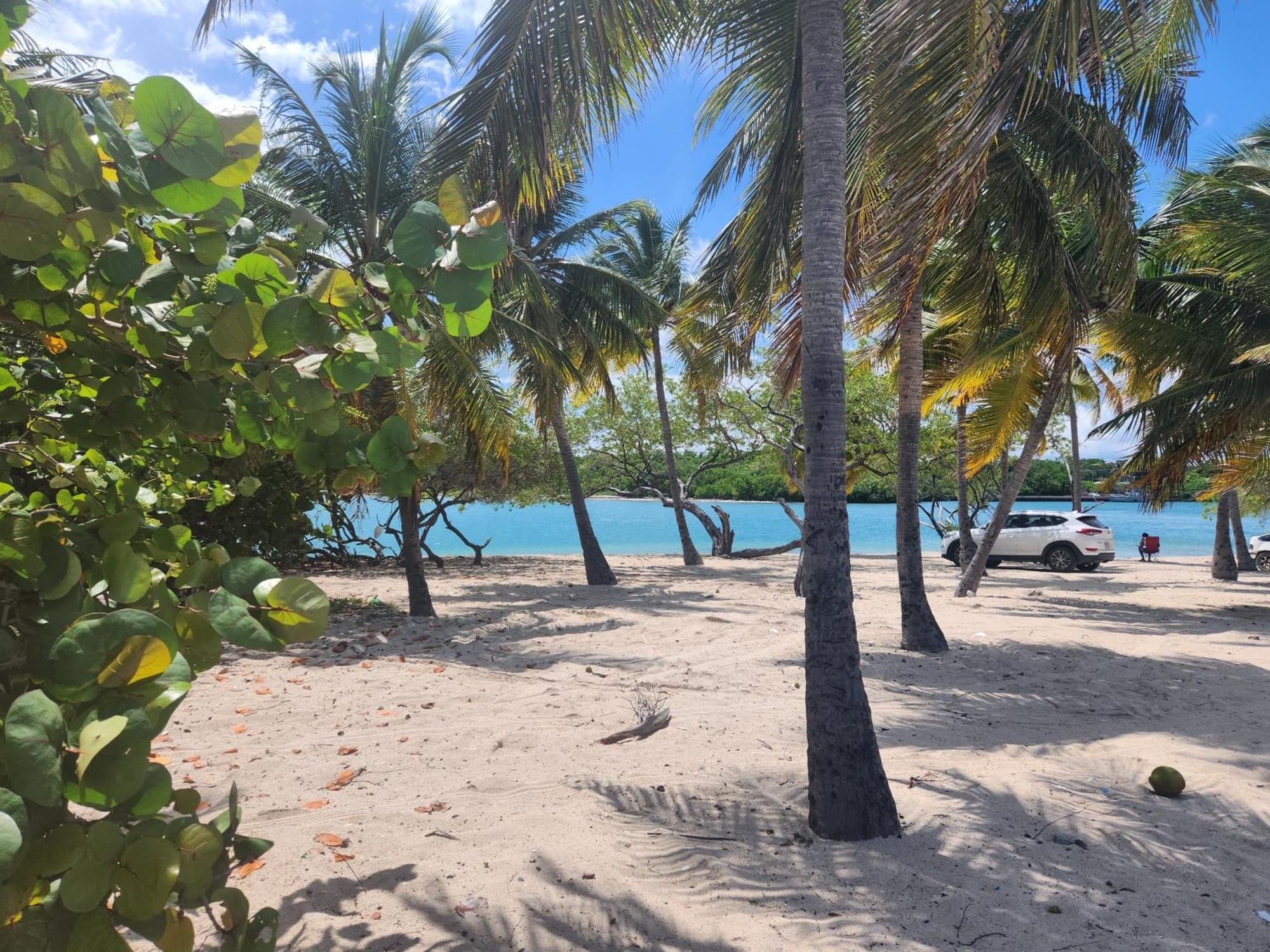 Casita Linda Larimar - 2Br Apartment With Rooftop, Bay Views, Fast Wifi, Near Beach In Barahona Esterno foto